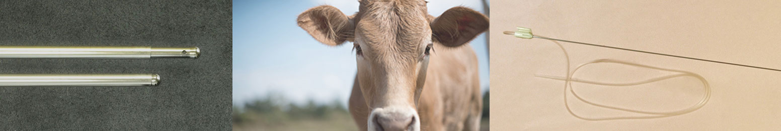 Produtos para veterinários